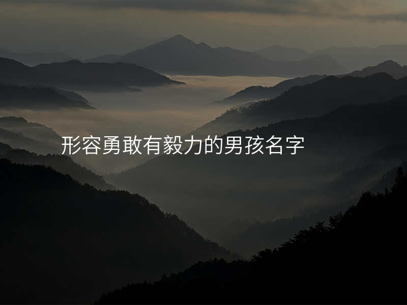 形容勇敢有毅力的男孩名字