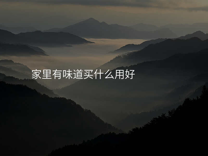 家里有味道买什么用好