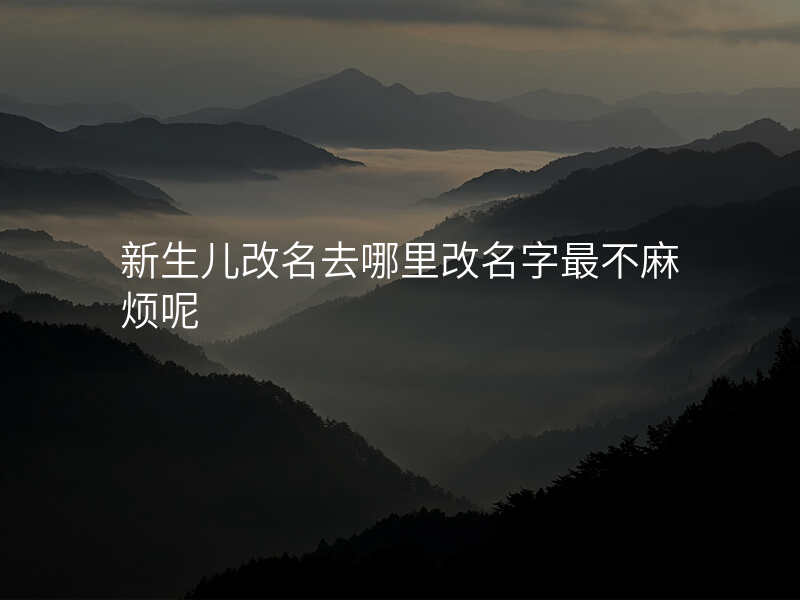 新生儿改名去哪里改名字最不麻烦呢