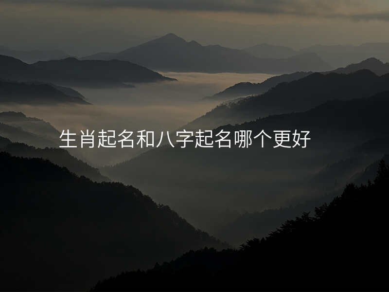 生肖起名和八字起名哪个更好