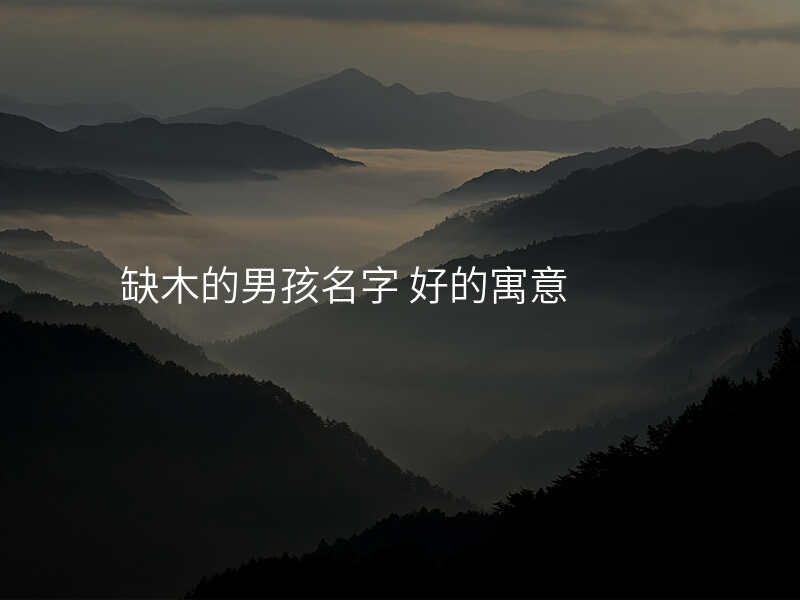 缺木的男孩名字 好的寓意