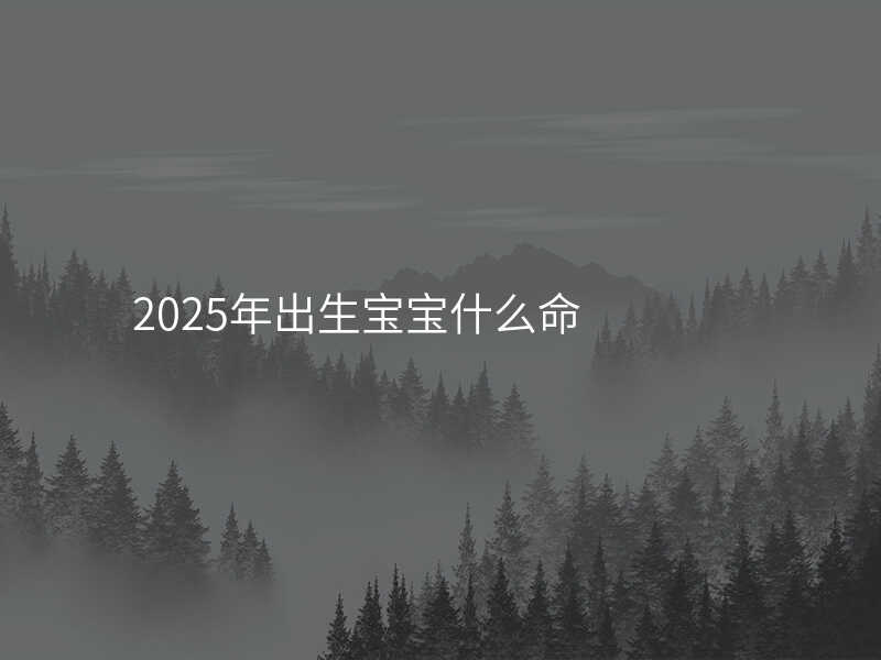 2025年出生宝宝什么命