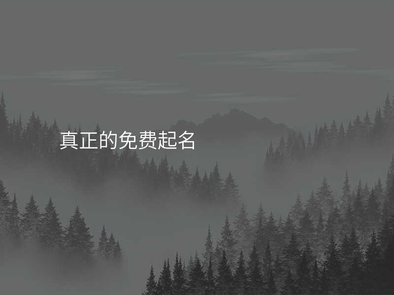真正的免费起名