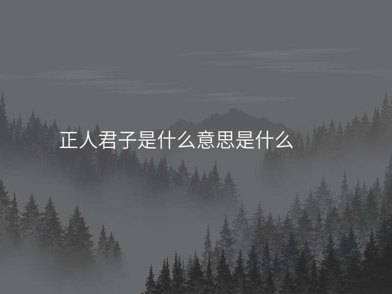 正人君子是什么意思是什么