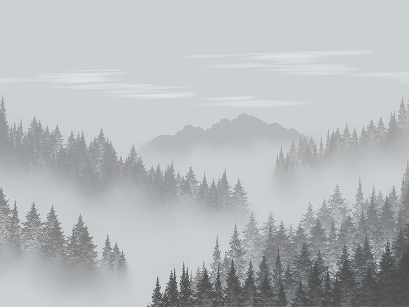 宝宝姓名中的隐喻与象征,如何让名字更引人入胜?