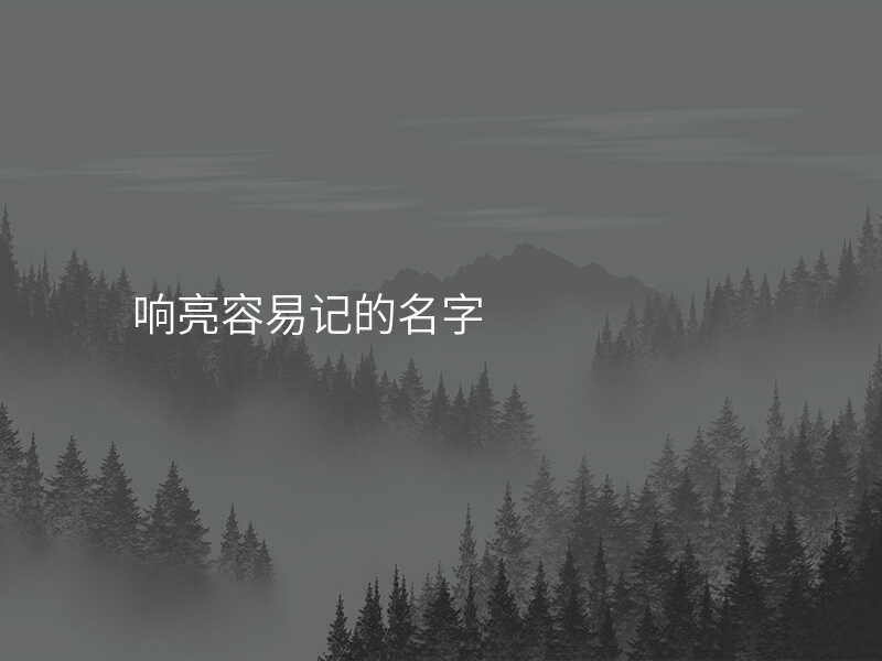 响亮容易记的名字