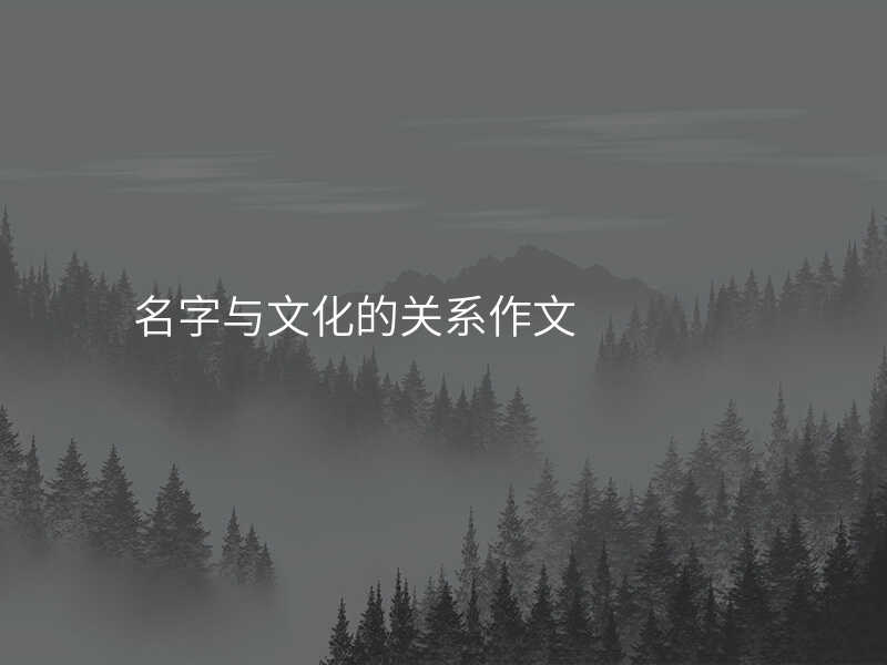名字与文化的关系作文