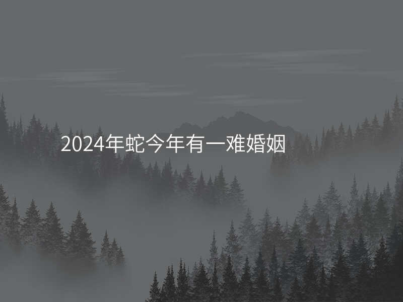 2024年蛇今年有一难婚姻