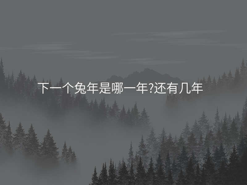 下一个兔年是哪一年?还有几年