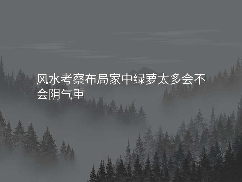 风水考察布局家中绿萝太多会不会阴气重