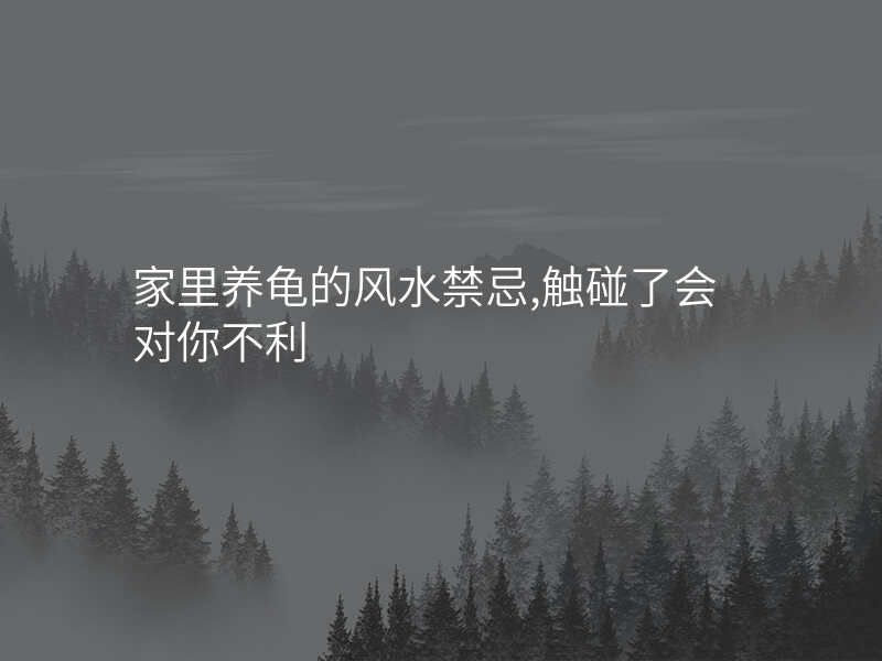 家里养龟的风水禁忌,触碰了会对你不利