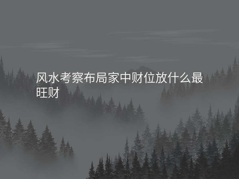 风水考察布局家中财位放什么最旺财
