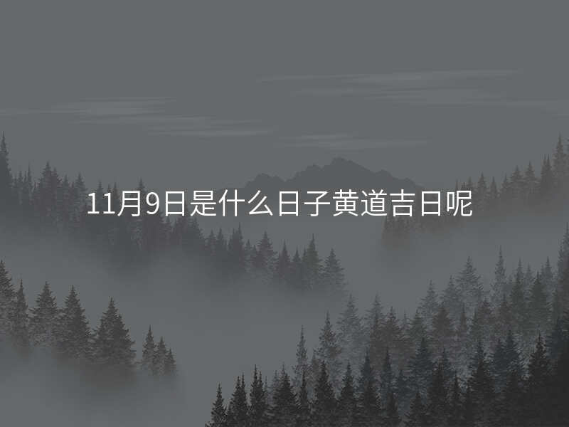 11月9日是什么日子黄道吉日呢