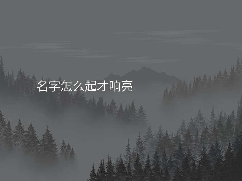 名字怎么起才响亮