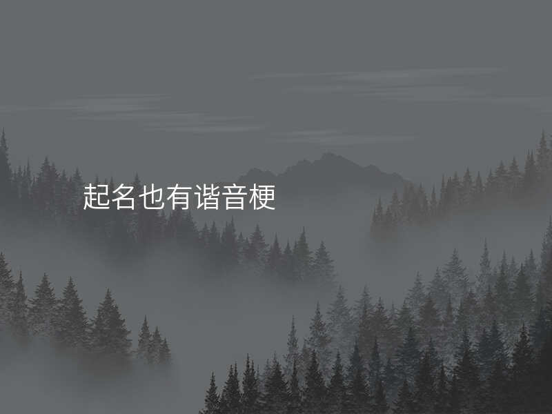 起名也有谐音梗