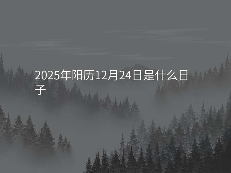2025年阳历12月24日是什么日子
