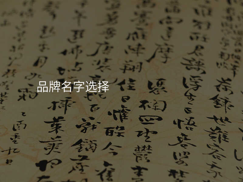 品牌名字选择