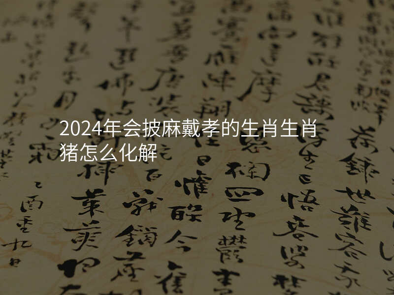 2024年会披麻戴孝的生肖生肖猪怎么化解