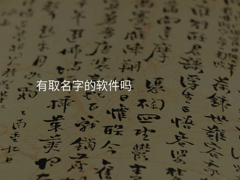 有取名字的软件吗