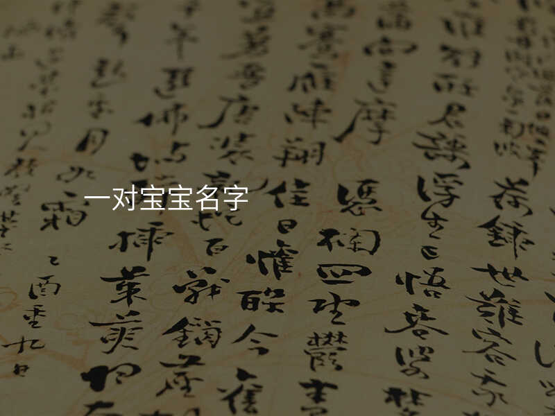 一对宝宝名字