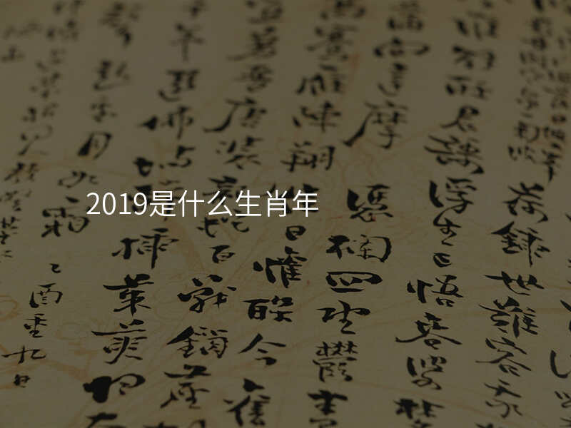 2019是什么生肖年