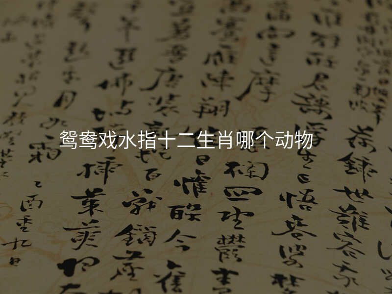 鸳鸯戏水指十二生肖哪个动物