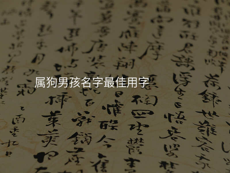 属狗男孩名字最佳用字