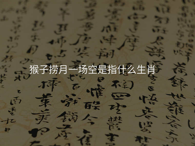 猴子捞月一场空是指什么生肖