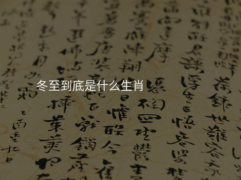 冬至到底是什么生肖