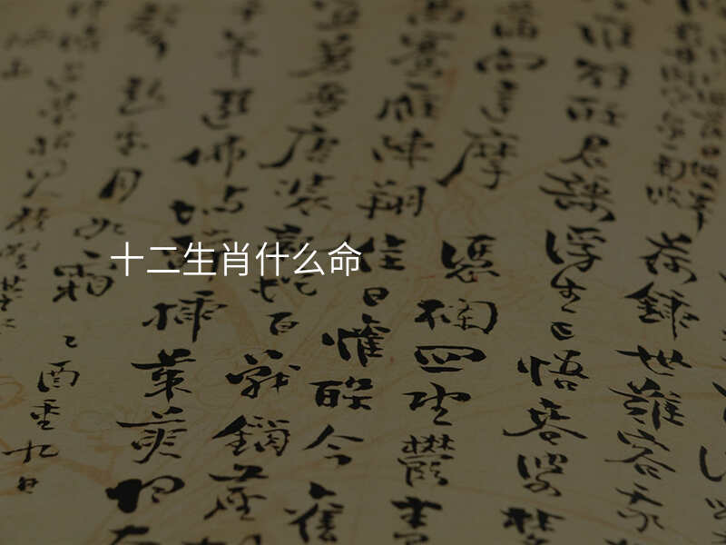 十二生肖什么命