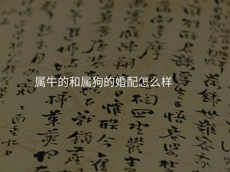 属牛的和属狗的婚配怎么样