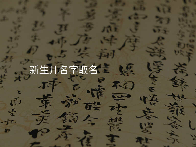新生儿名字取名