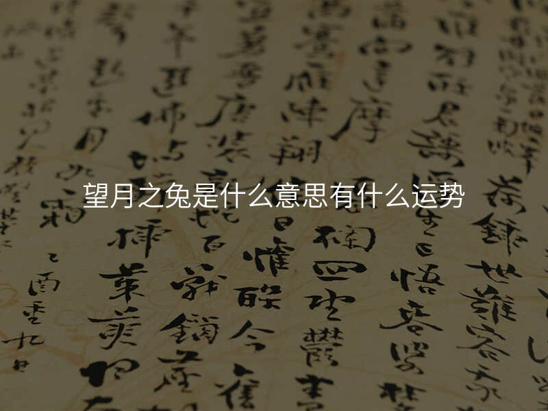 望月之兔是什么意思有什么运势