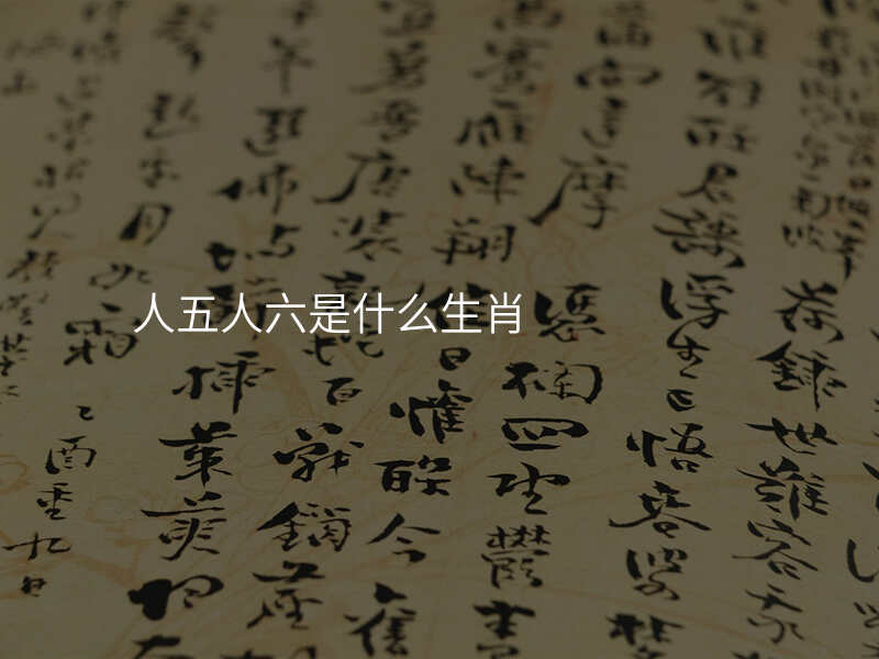 人五人六是什么生肖