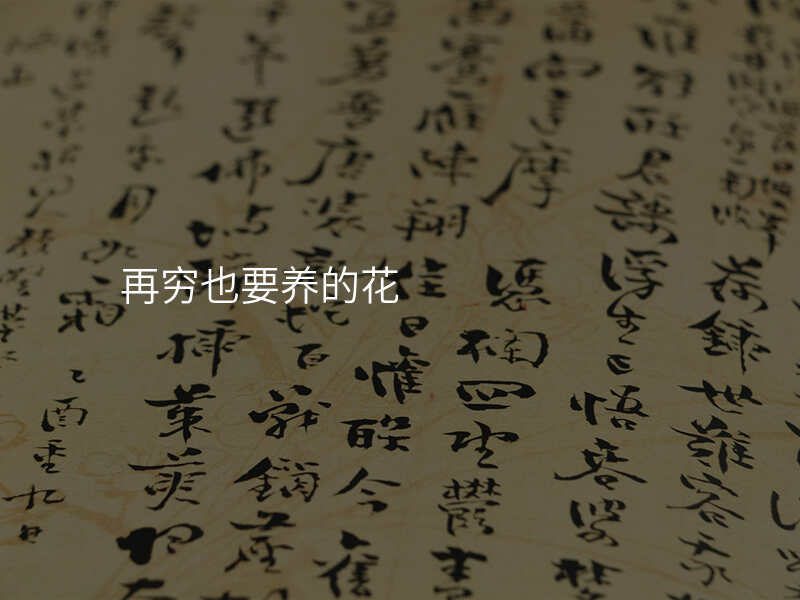 再穷也要养的花