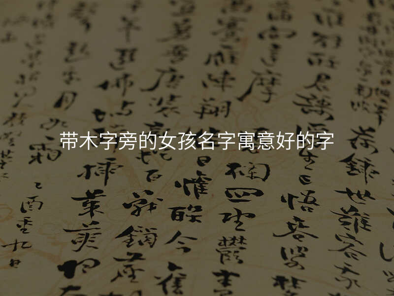 带木字旁的女孩名字寓意好的字