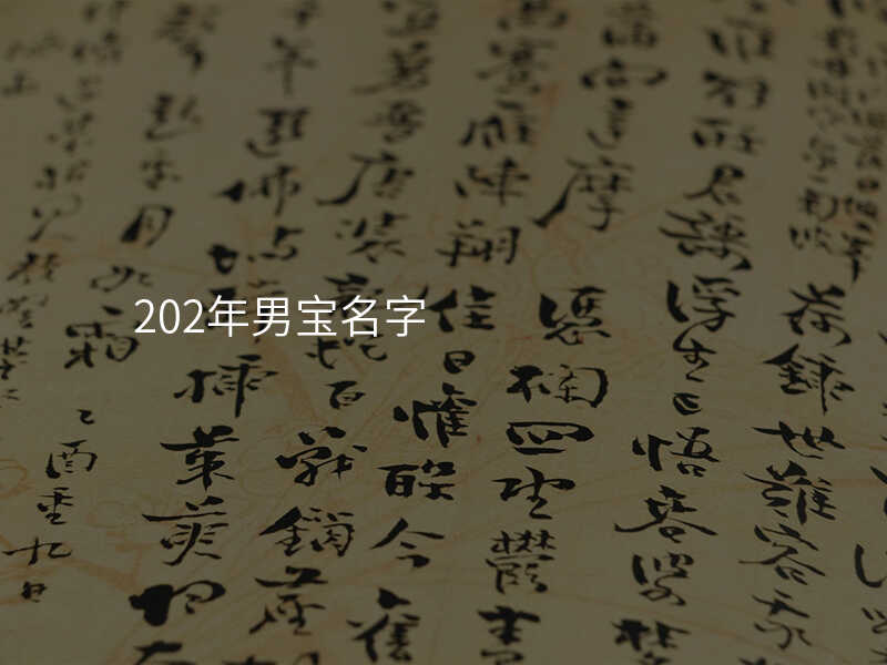202年男宝名字
