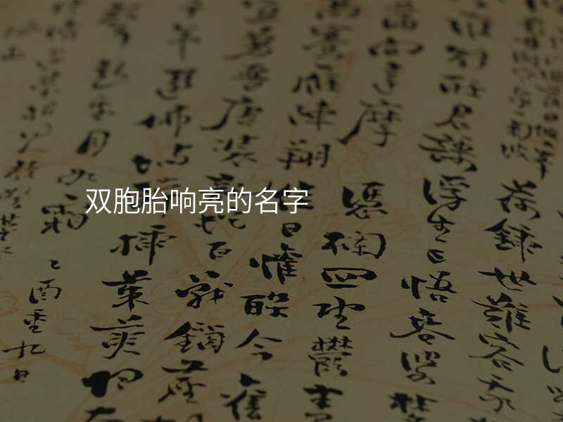 双胞胎响亮的名字