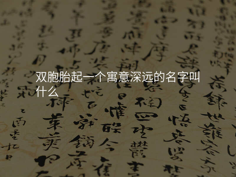 双胞胎起一个寓意深远的名字叫什么