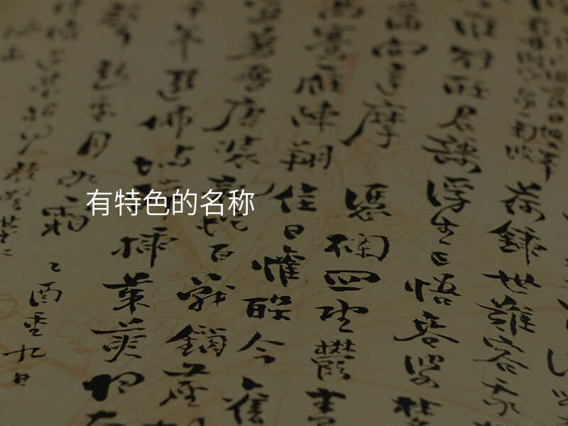 有特色的名称