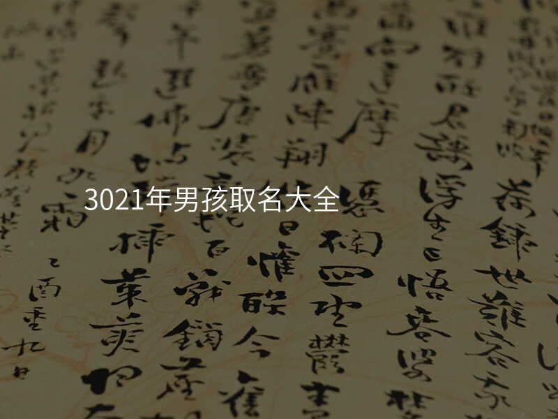 3021年男孩取名大全