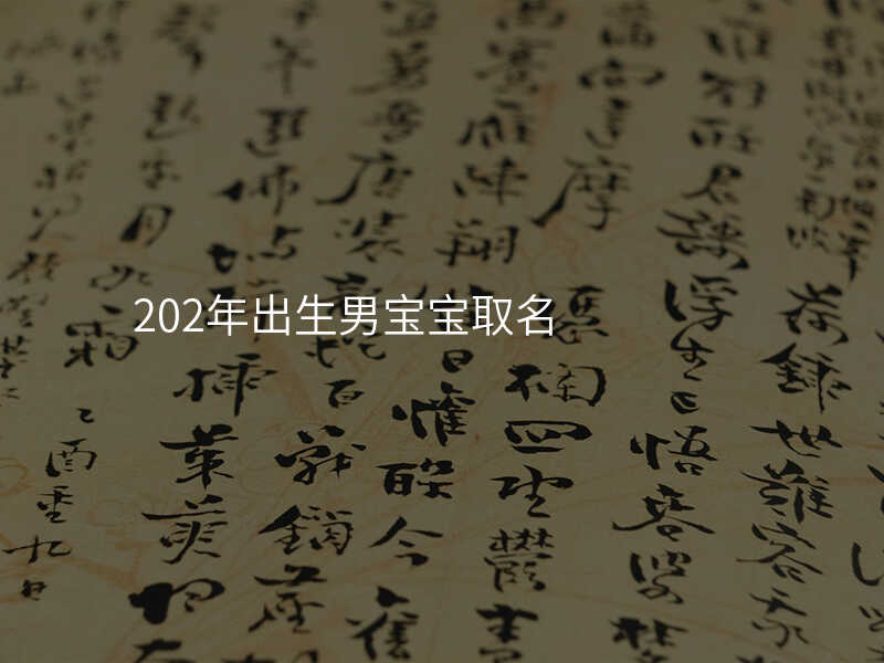 202年出生男宝宝取名