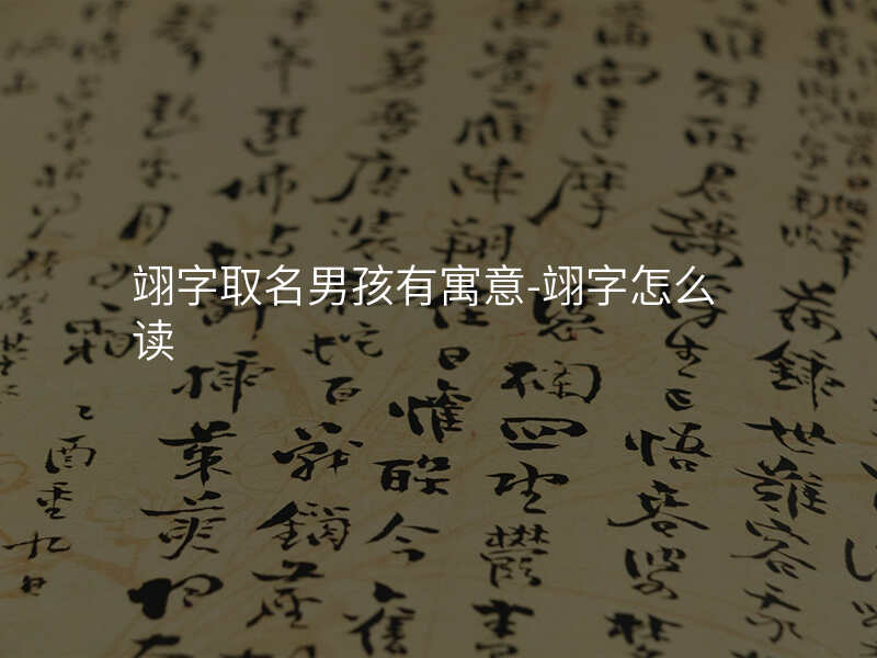 翊字取名男孩有寓意-翊字怎么读