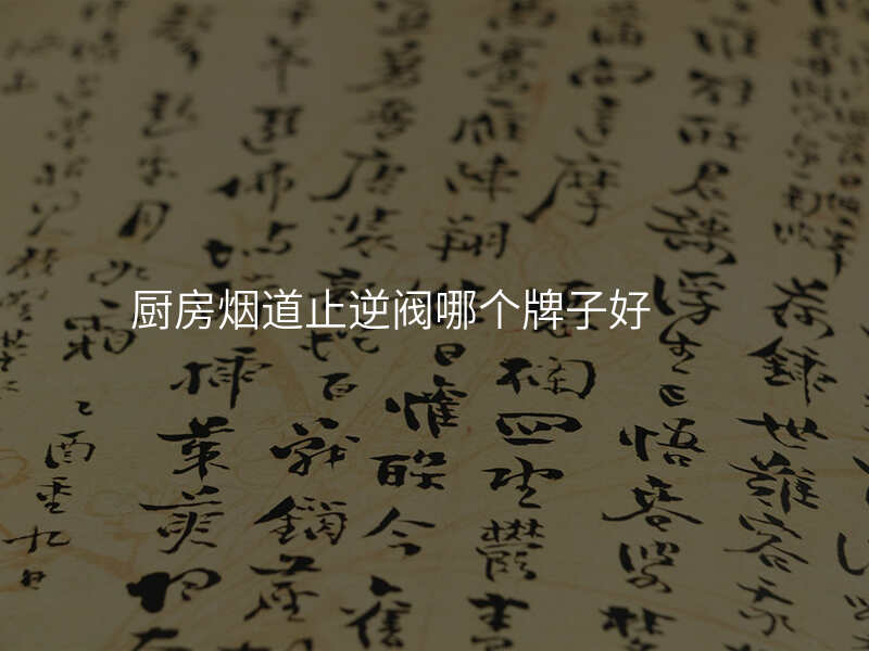 厨房烟道止逆阀哪个牌子好