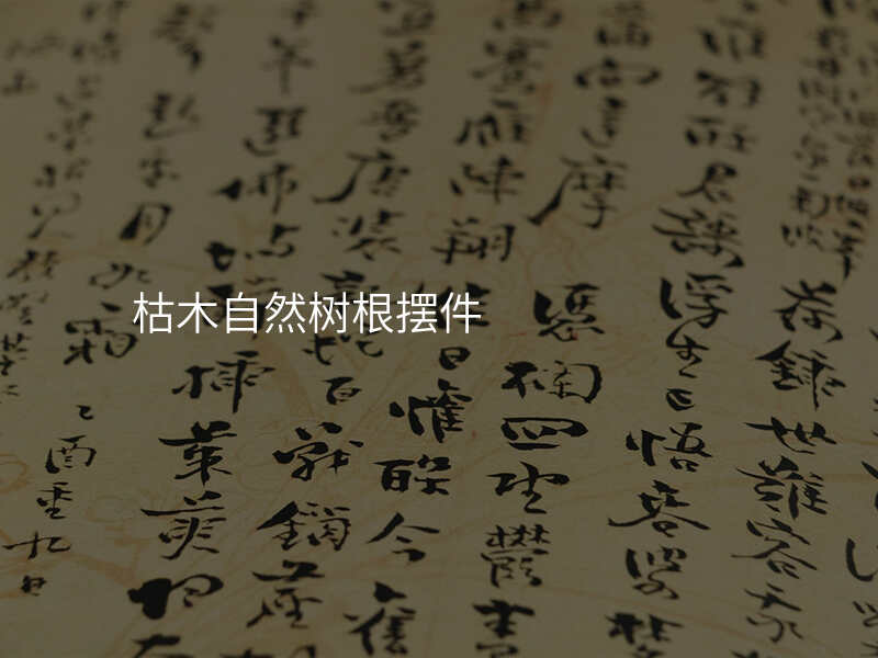 枯木自然树根摆件