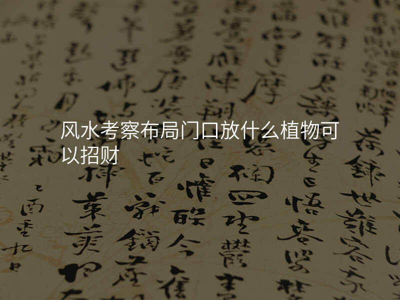 风水考察布局门口放什么植物可以招财