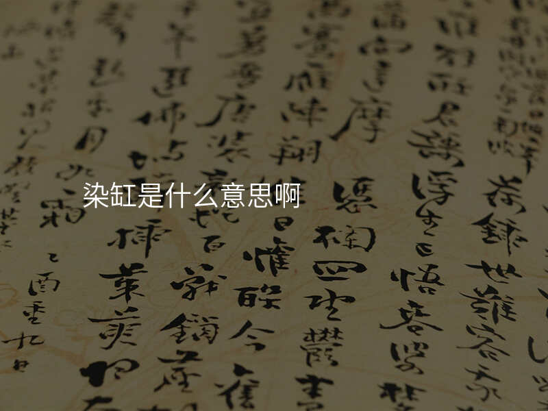染缸是什么意思啊