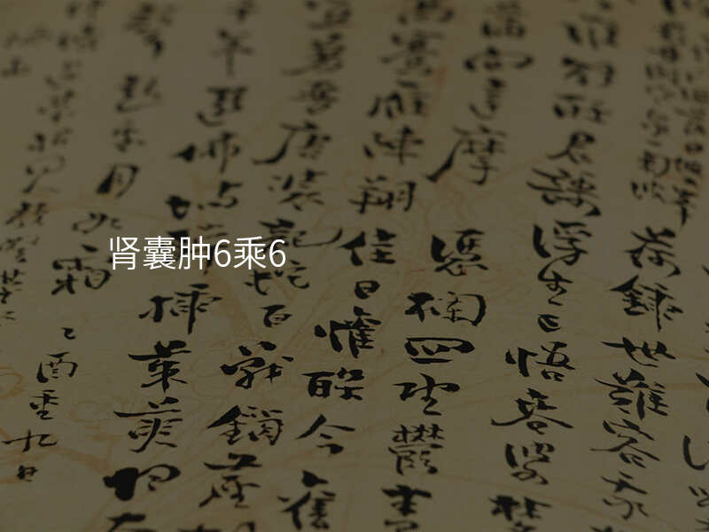 肾囊肿6乘6
