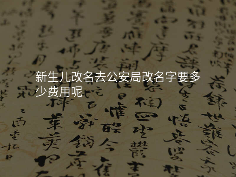 新生儿改名去公安局改名字要多少费用呢