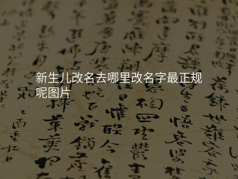新生儿改名去哪里改名字最正规呢图片